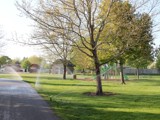 8th St. Park