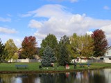 People fishing at a pond