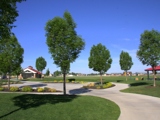 Walking Path