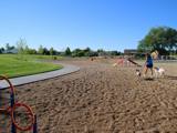 Dog Park